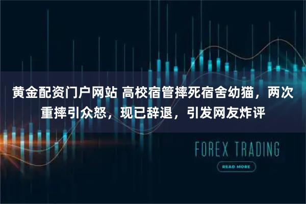 黄金配资门户网站 高校宿管摔死宿舍幼猫，两次重摔引众怒，现已辞退，引发网友炸评