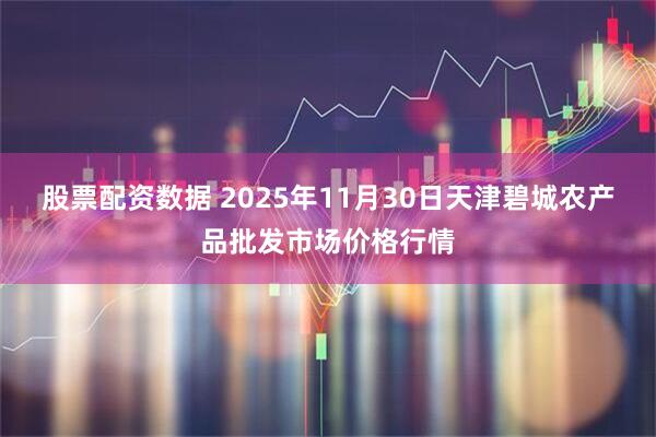 股票配资数据 2025年11月30日天津碧城农产品批发市场价格行情