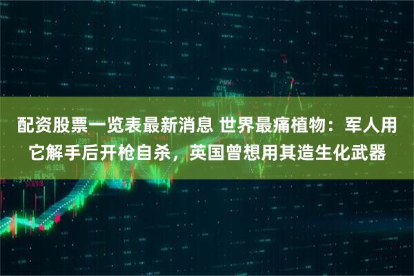 配资股票一览表最新消息 世界最痛植物：军人用它解手后开枪自杀，英国曾想用其造生化武器
